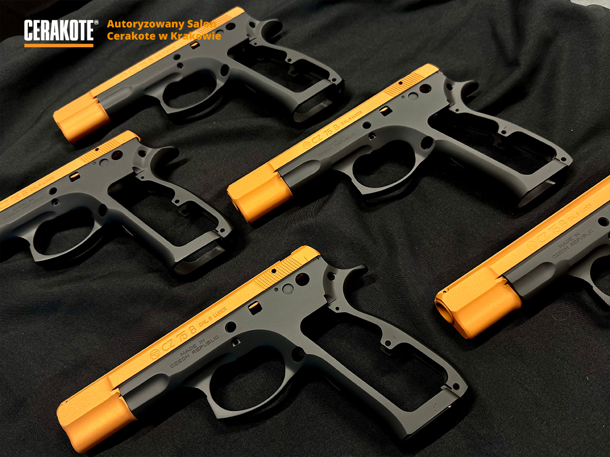 Podgląd serii Cerakote